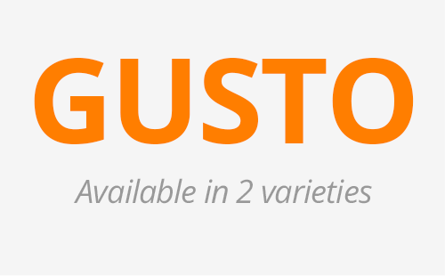 Gusto Aluminum Windows